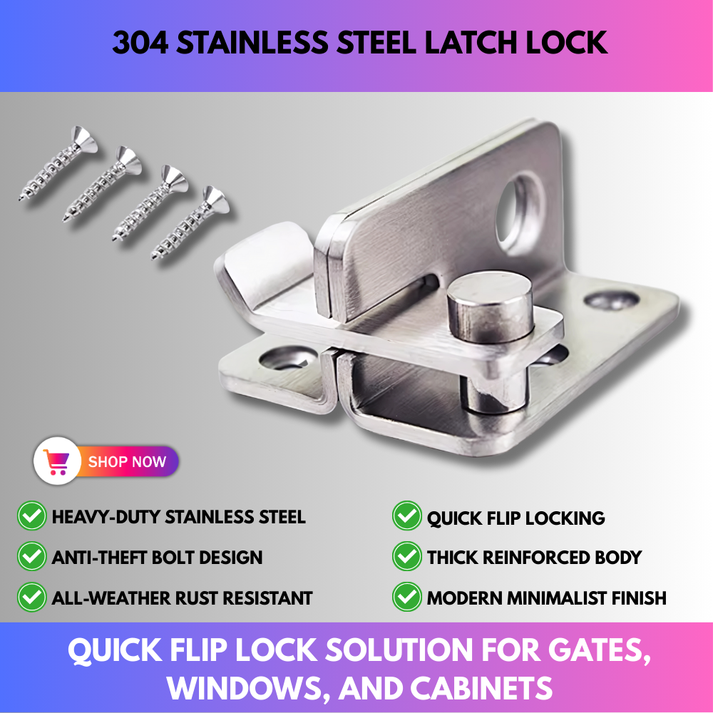 304 Stainless Steel Latch Lock