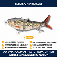Electric Fishing Lure