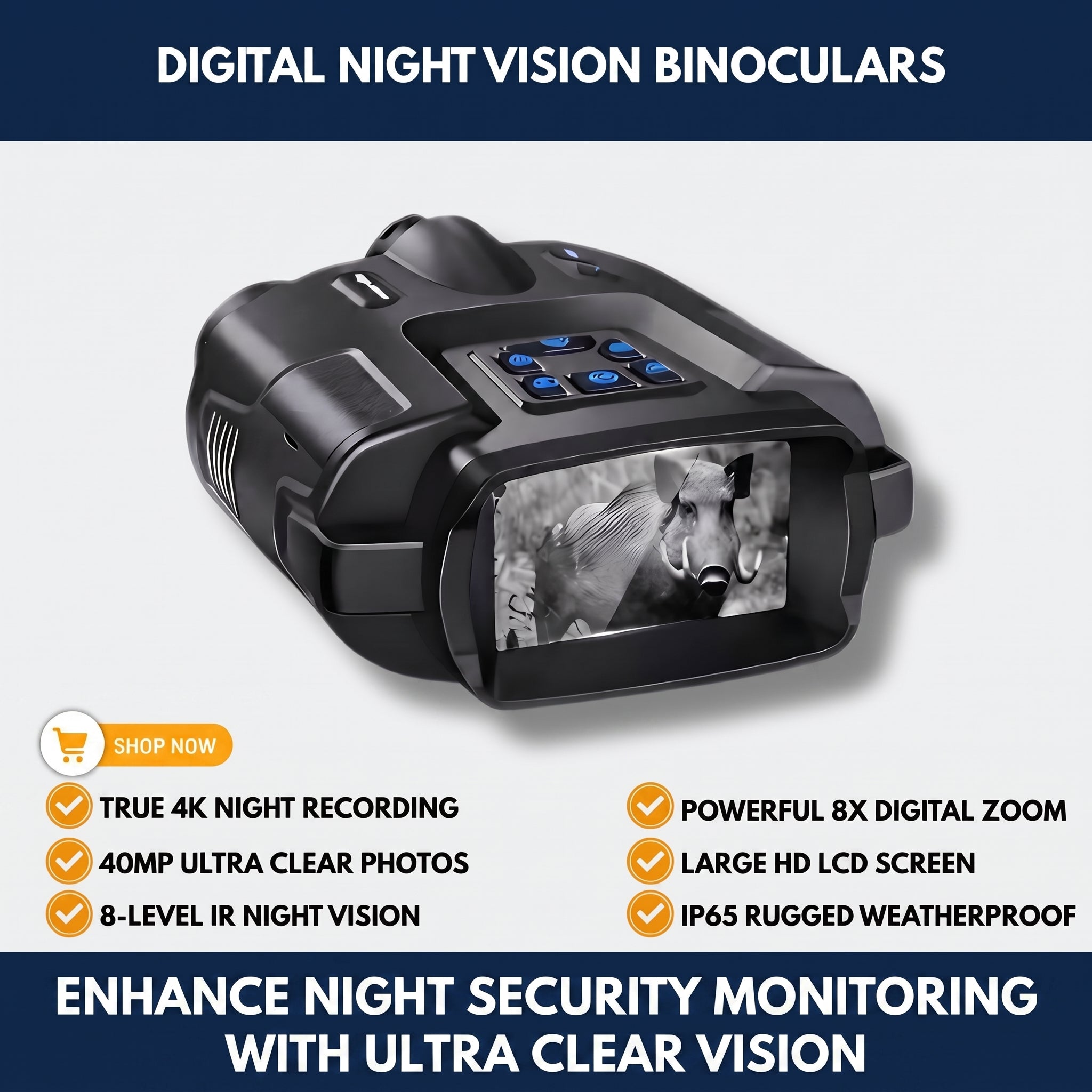 Digital Night Vision Binoculars — QMT