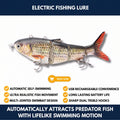 Electric Fishing Lure