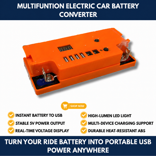 Multifuntion Electric Car Battery Converter